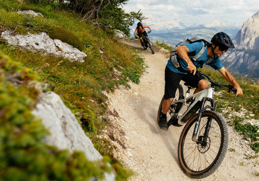 Trek Powerfly+